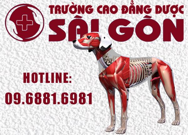 Học Cao đẳng Thú y Sài Gòn có được miễn giảm học phí không?