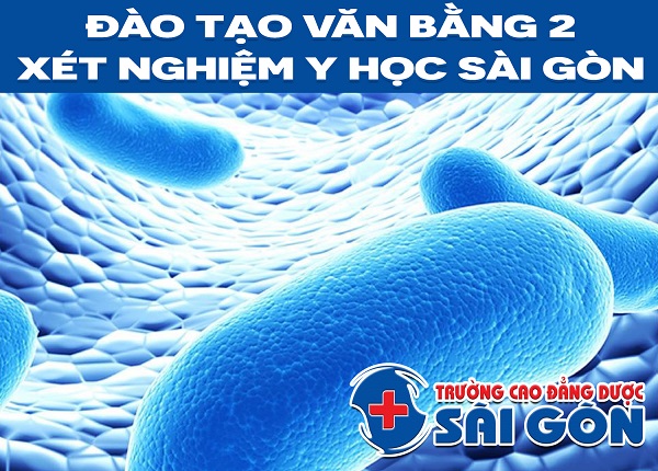 Trường Cao đẳng Dược Sài Gòn đào tạo Văn bằng 2 Cao đẳng Kỹ thuật xét nghiệm ngoài giờ hành chính