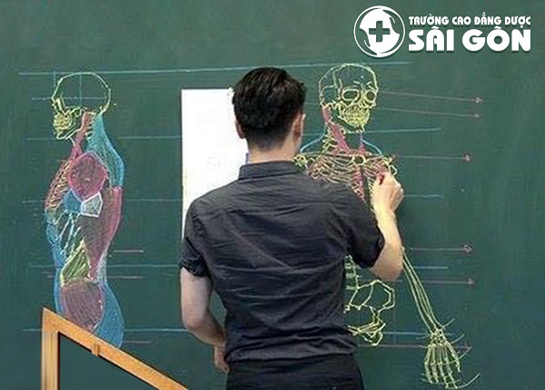 Trường Cao đẳng Dược Sài Gòn đào tạo Y học cổ truyền đạt chuẩn bộ y tế