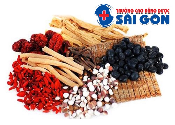 Tuyển sinh đào tạo Y sĩ y học cổ truyền Sài Gòn 2019