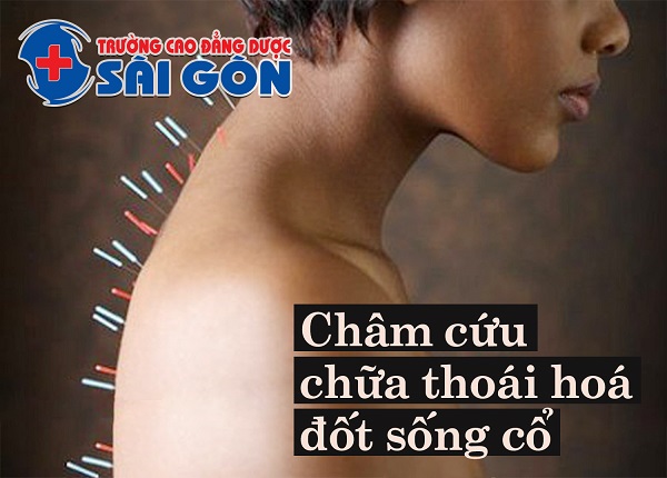 Y học cổ truyền được nhiều người lựa chọn đề chữa bệnh