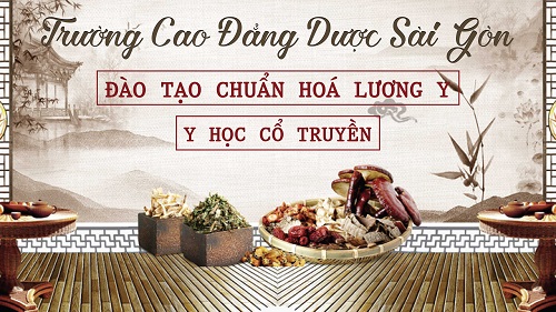 Trường Cao đẳng Dược Sài Gòn đào tạo chuẩn hóa lương y Y học cổ truyền Sài Gòn