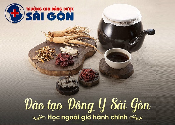 Đào tạo Y sĩ y học cổ truyền Sài Gòn 2019