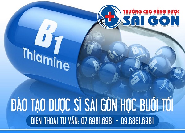 Đào tạo Dược sĩ Sài Gòn học buổi tối 2018