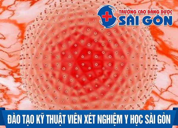 Đào tạo kỹ thuât viên Xét nghiệm Sài Gòn 2018