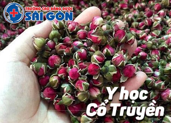 Sử dụng các vị thuốc từ y học cổ truyền chữa khan tiếng hiệu quả