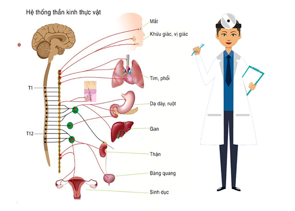 Điều dưỡng Sài Gòn tư vấn điều trị rối loạn thần kinh thực vật