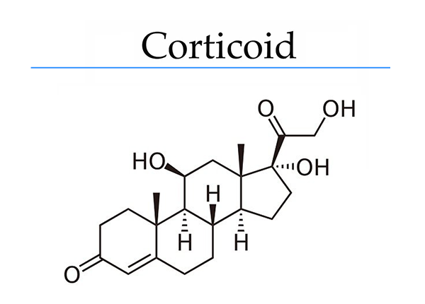 Dược sĩ Sài Gòn chia sẻ về nhóm thuốc Corticoid