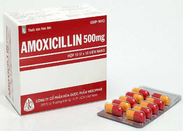 Hướng dẫn sử dụng thuốc Amoxicillin