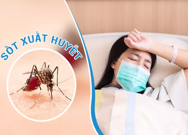 Biện pháp phòng bệnh sốt xuất huyết khi số ca mắc tăng