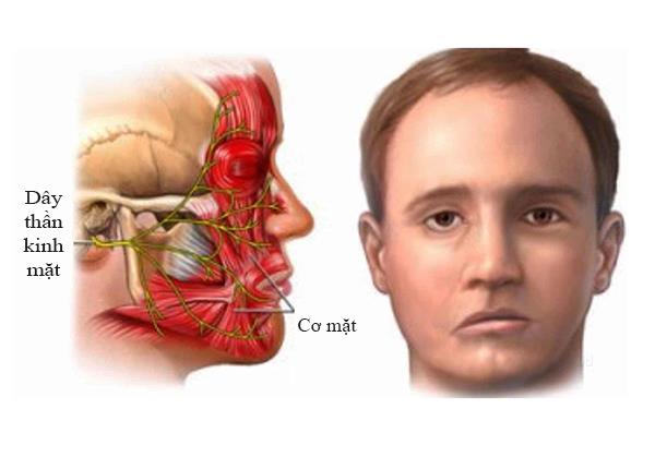 Bác sĩ Giảng viên Trường Dược Sài Gòn chia sẻ chứng co giật cơ mặt