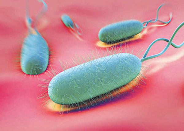 Chuyên gia Điều dưỡng Sài Gòn chia sẻ về bệnh lý do helicobacteria pylori