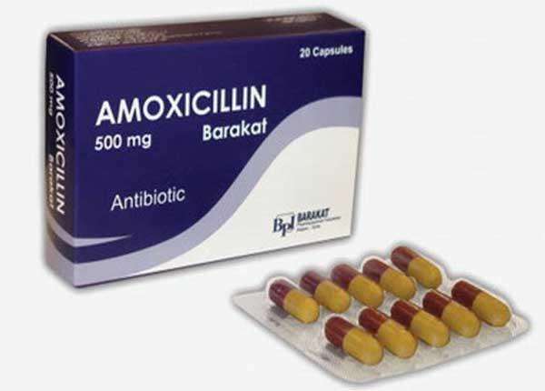 Dược sĩ Sài Gòn hướng dẫn sử dụng thuốc Amoxicillin an toàn hiệu quả