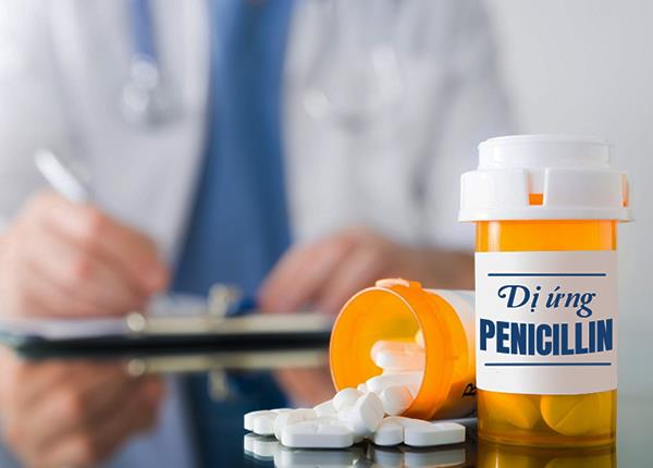 Dược sĩ Trường Dược Sài Gòn chia sẻ thông tin về dị ứng Penicillin