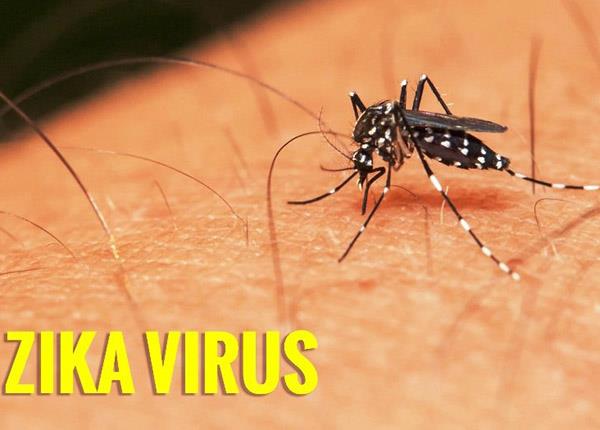 Nguyên nhân gây bệnh và cách điều trị phòng ngừa Virus Zika