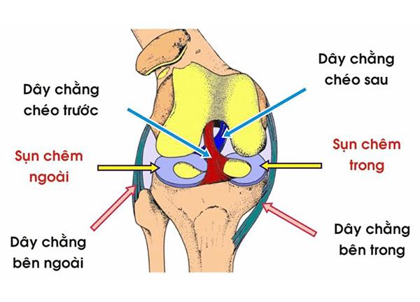Những lưu ý từ bác sĩ Trường Dược Sài Gòn về chấn thương sụn chêm